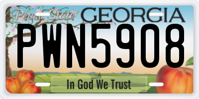 GA license plate PWN5908