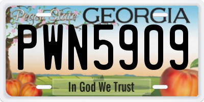 GA license plate PWN5909