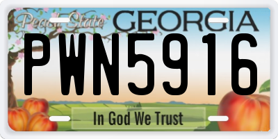 GA license plate PWN5916