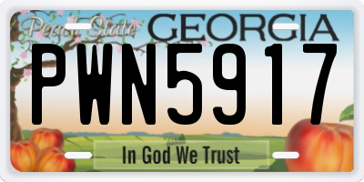 GA license plate PWN5917