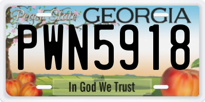 GA license plate PWN5918