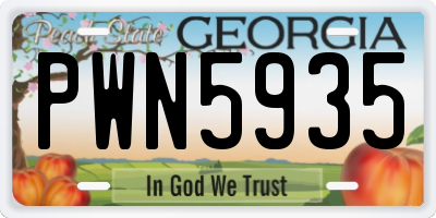 GA license plate PWN5935