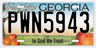 GA license plate PWN5943