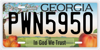 GA license plate PWN5950