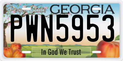 GA license plate PWN5953