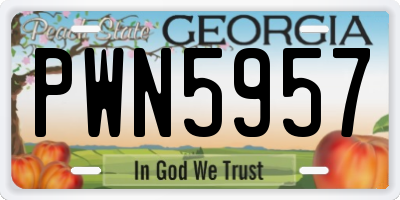 GA license plate PWN5957