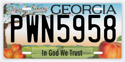 GA license plate PWN5958
