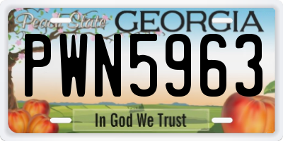 GA license plate PWN5963