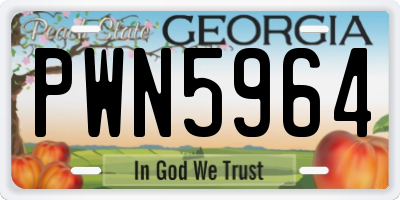 GA license plate PWN5964