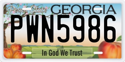 GA license plate PWN5986