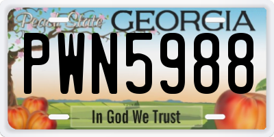 GA license plate PWN5988