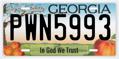 GA license plate PWN5993
