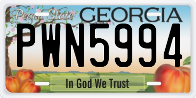GA license plate PWN5994