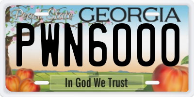 GA license plate PWN6000