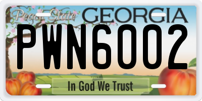 GA license plate PWN6002