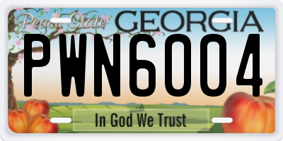 GA license plate PWN6004