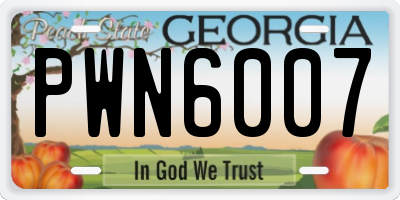 GA license plate PWN6007