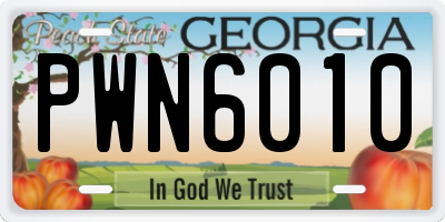 GA license plate PWN6010