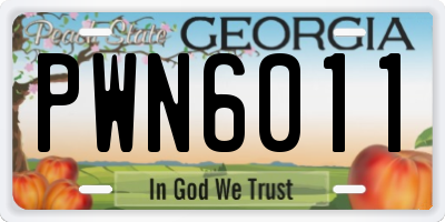 GA license plate PWN6011