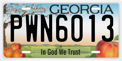 GA license plate PWN6013