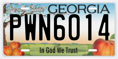 GA license plate PWN6014