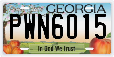 GA license plate PWN6015