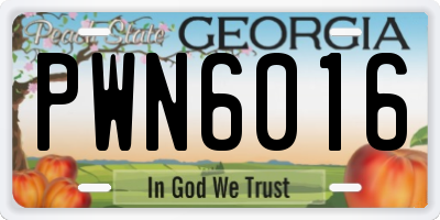 GA license plate PWN6016