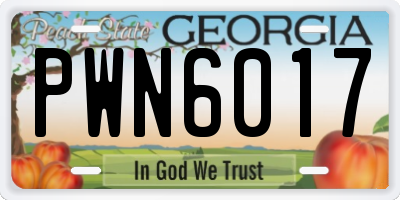 GA license plate PWN6017
