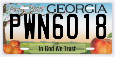 GA license plate PWN6018