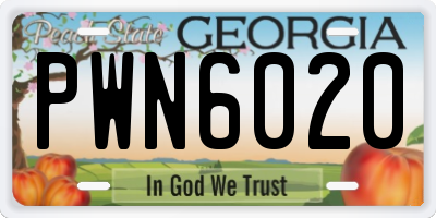 GA license plate PWN6020