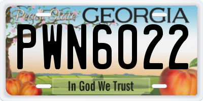 GA license plate PWN6022