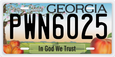 GA license plate PWN6025