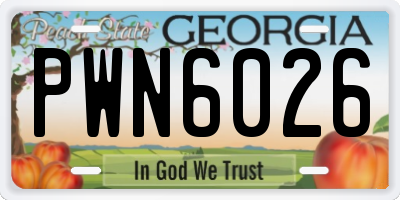 GA license plate PWN6026