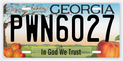 GA license plate PWN6027
