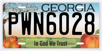 GA license plate PWN6028