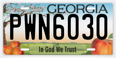 GA license plate PWN6030