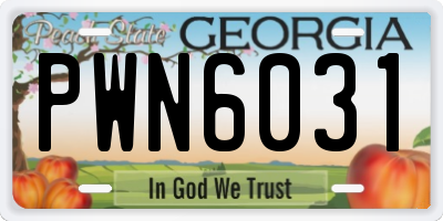 GA license plate PWN6031