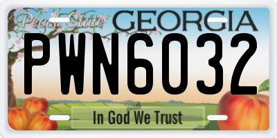 GA license plate PWN6032