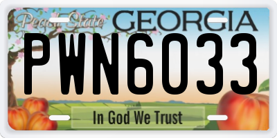 GA license plate PWN6033