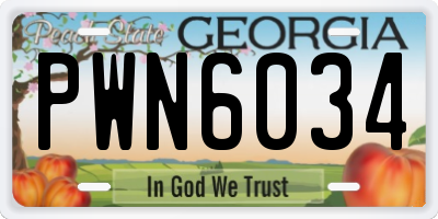 GA license plate PWN6034