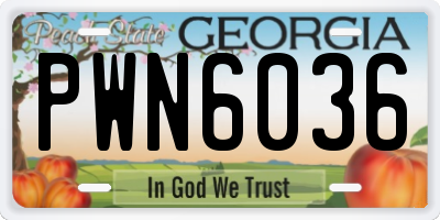 GA license plate PWN6036