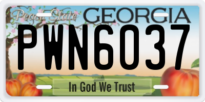 GA license plate PWN6037