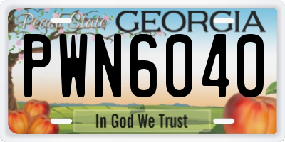 GA license plate PWN6040