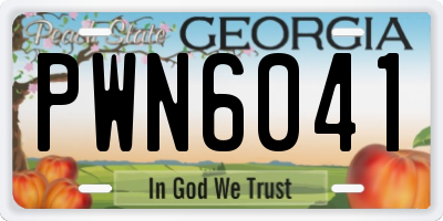 GA license plate PWN6041