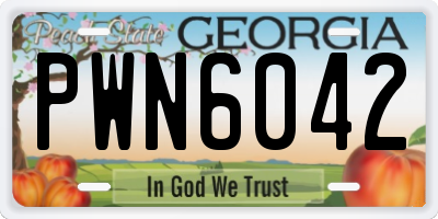 GA license plate PWN6042