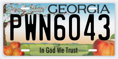 GA license plate PWN6043