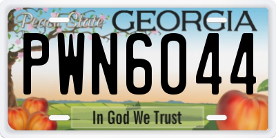GA license plate PWN6044
