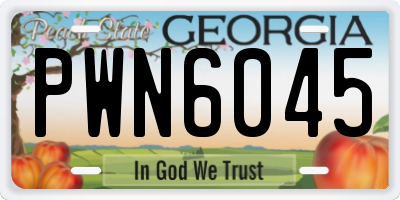 GA license plate PWN6045
