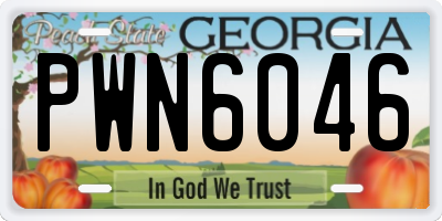 GA license plate PWN6046