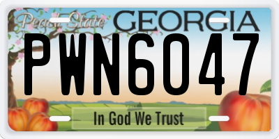 GA license plate PWN6047